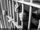 13‬نفر از اتباع ایرانی زندانی در ارمنستان آزاد شدند