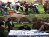 كاشت درخت دوستی در مسجد کبود ایروان