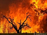 مهار آتش سوزی در جنگل های جمهوری آذربایجان