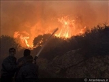 آذربایجان 2 هلیکوپتر آتش نشانی به اسرائیل فرستاد