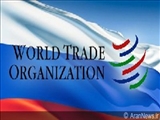 گرجستان از عضویت روسیه در سازمان تجارت جهانی حمایت نمی کند