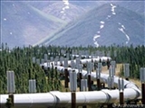 رییس کمیته انرژی پارلمان ترکیه:صادرات گاز ایران به ترکیه 7 درصد افزایش یافت