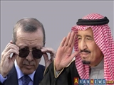عربستان برای حمایت از مخالفان اردوغان اعلام آمادگی کرد