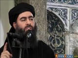 طالبان: ابوبکر البغدادی خلیفه مسلمانان نیست
