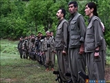 ارتش ترکيه صدها شبه نظامي کرد را کشت