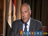  ممانعت وزیر خارجه مصر از تروریستی خواندن حزب‌الله