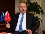 وزیر خارجه ترکیه عازم ایران می شود