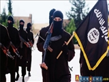 دلایل داعش برای حمله نکردن به ایران