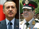 اردوغان عامل هرج و مرج در جهان عرب/ آینده روابط قاهره - آنکارا