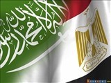 چرا مصر بر خلاف نظر عربستان به قطعنامه روسی رای مثبت داد