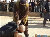 انتقام سخت از داعشی‌ها؛ ذبح 50 داعشی به سبک جلادان داعش