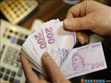 ابراز تمایل ترکیه برای استفاده از ارزهای ملی در تجارت با ایران