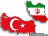 اخراج عامل ضرب‌وشتم ایرانیان درگمرک ترکیه