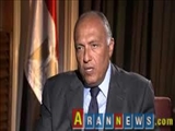 وزیر خارجه مصر: بحران سوریه در آستانه حل سیاسی است