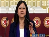 معاون حزب دموکراتیک خلق های ترکیه به 6 ماه زندان محکوم شد