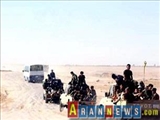 اعزام نیروهای ویژه نُجَباء برای آزادی مناطق مرزی عراق با سوریه