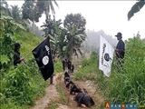  سه احتمال در مورد حضور داعش در فیلیپین