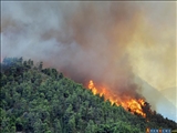 آتش سوزی بخشی از جنگلهای کوهستانی هیرکان جمهوری آذربایجان را فرا گرفت