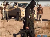 سرکرده داعش در حومه درعا کشته شد