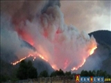 آتش سوزی جنگل های منطقه بورژومی گرجستان را فرا گرفت