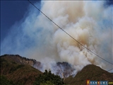 آتش سوزی در جنگلهای منطقه بورژومی گرجستان