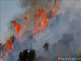 ایران در اطفای آتش سوزی جنگل های گرجستان مشارکت می کند