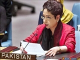 نماينده پاکستان در سازمان ملل: محاصره غزه غيرقانوني است