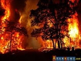 آتش سوزی گسترده در جنگل های منطقه تالش جمهوری آذربایجان