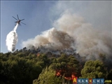 آتش سوزی جنگل ها در جمهوری آذربایجان از خط قرمز عبور کرد