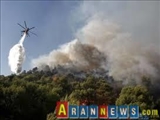 اسپوتنیک: آتش سوزی جنگل ها در جمهوری آذربایجان از خط قرمز عبور کرد