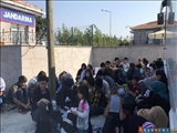 951 پناهجوی غیرقانونی در ترکیه دستگیر شدند