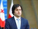  رئیس پارلمان گرجستان برگزاری انتخابات زودهنگام را رد کرد