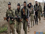 هشدار درباره سرازیر شدن تروریست‌ها از سوریه به الجزائر