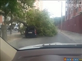 طوفان شدید زندگی عادی را در باکو مختل کرد