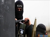 داعش می‌تواند در چند ماه اراضی از دست رفته در سوریه را تصرف کند