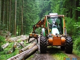 مرکز بارگیری چوب برای صادرات به ایران در استراخان احداث می شود