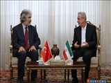 رئیس اتحادیه دانشگاه های قفقاز: منطقه به ایران و ترکیه ای قدرتمند نیاز دارد