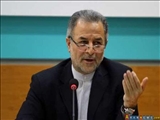 سفیر ایران: ظهور جریان‌های افراطگرایی از پدیده‌های شوم جهان است
