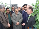 اراده سیاسی مقامات ایران و آذربایجان توسعه روابط دوستانه است
