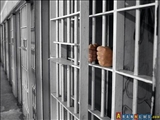 بازداشت دو مقام ارشد امنیتی سابق جمهوری آذربایجان 