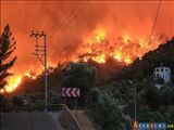افزایش تلفات آتش‌سوزی بزرگ ترکیه به ۸ کشته