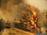 آتش سوزی در جنگل های ترکیه به جز دو نقطه مهار شده است