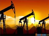 کاهش صادرات نفت روسیه 