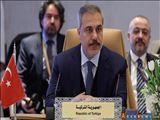 فیدان: تمامیت ارضی، وحدت و حاکمیت سوریه از اصول اساسی است