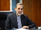 ولایتی: اجازه نخواهیم داد که ناتو به مرزهای شمالی ایران نزدیک شود